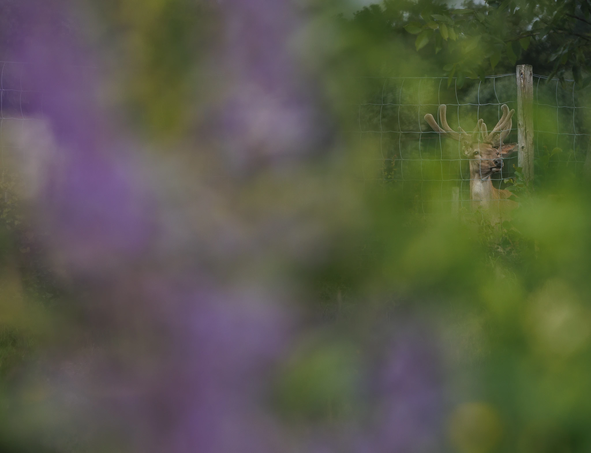 Arrangement background